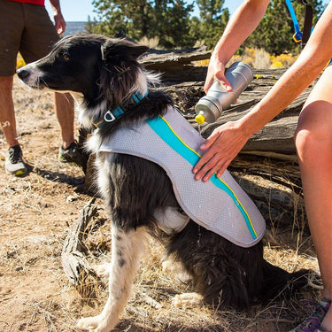 Ruffwear Swamp Cooler Cooling Dog Vest - Graphite Gray Large